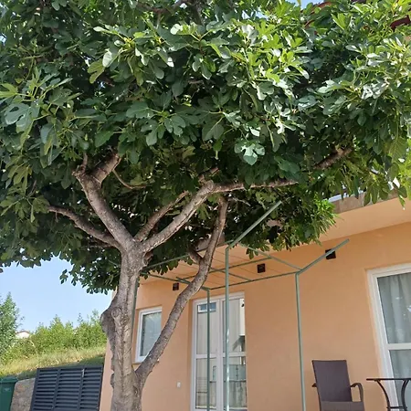 Ambiente Apartment Jasenice (Zadar)