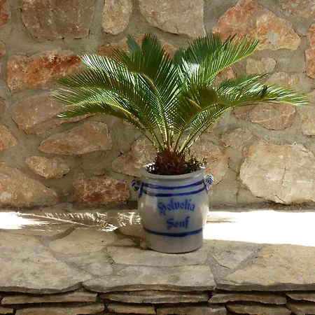 Apartman Ambiente Jasenice