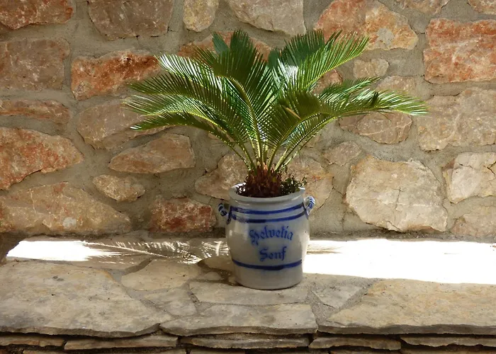 Апартаменты Ambiente Ясенице